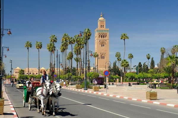 From Marrakech Picture (1)